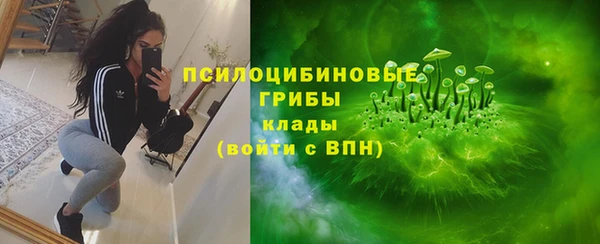 apvp Балахна