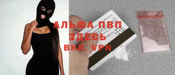 индика Нефтекумск